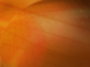 电商文案排行推荐：2024年转化率王者